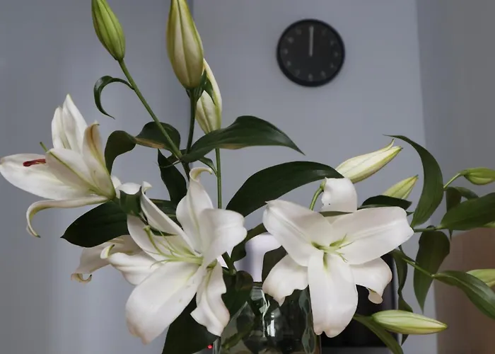 One More Night Apartment, Old Town Poznan