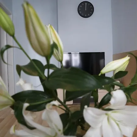 One More Night Apartment, Old Town * Poznan