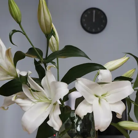 One More Night Apartment, Old Town Poznan