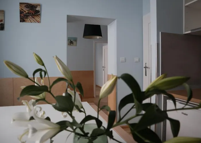 One More Night Apartment, Old Town Apartment *